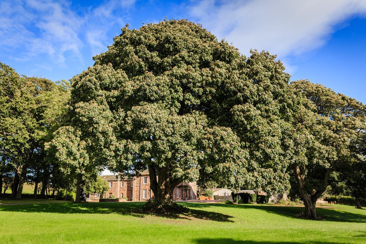 Lunan House Hotel Arbroath Exterior foto